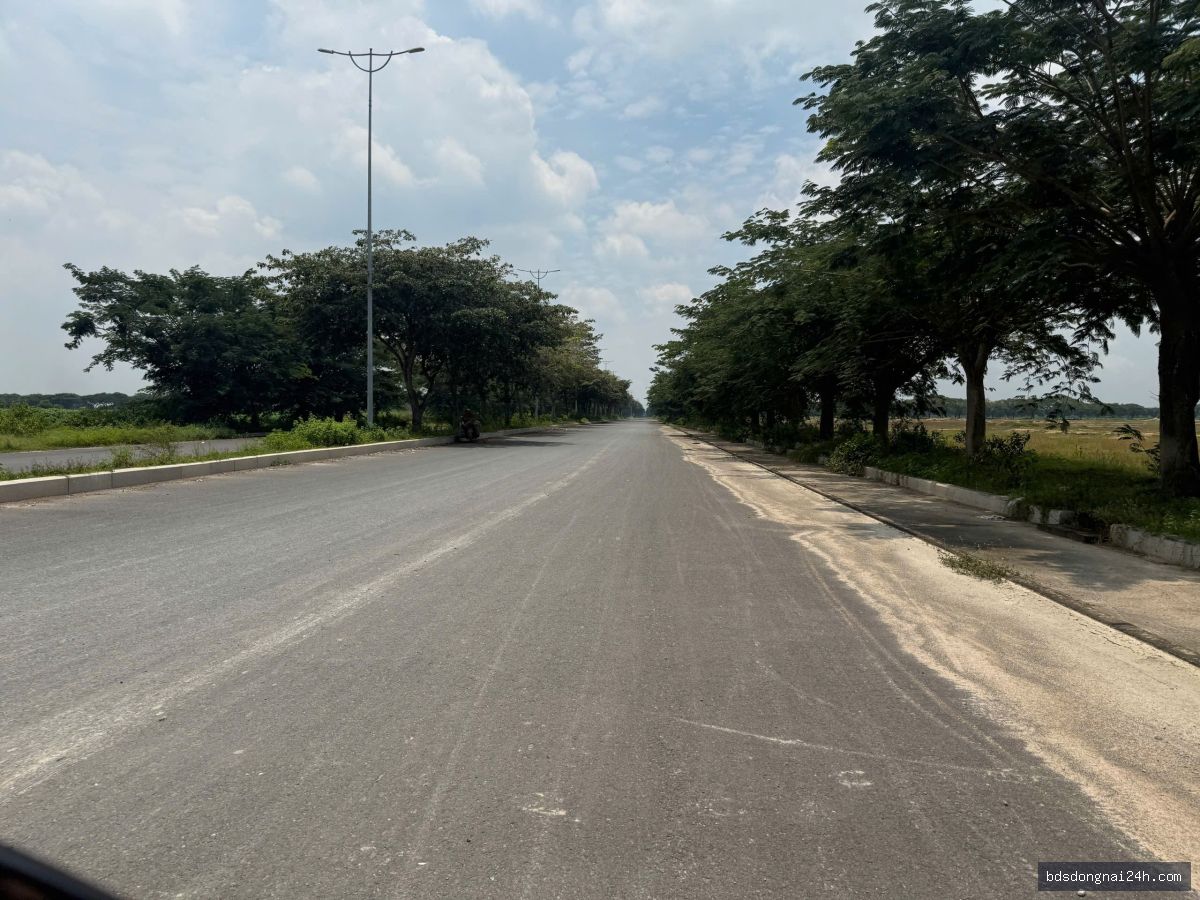 Bán biệt thự - Hình ảnh 2