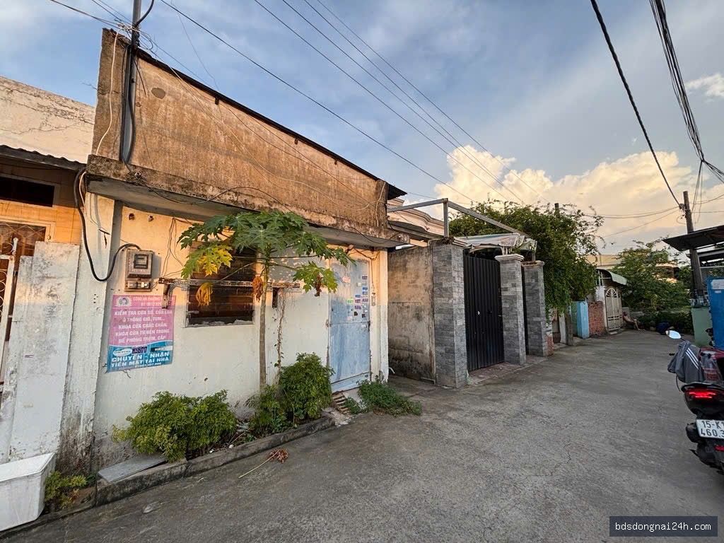 Bán đất thổ cư 100% tại Tân Hiệp, Biên Hòa (100m²) - Hình ảnh 2