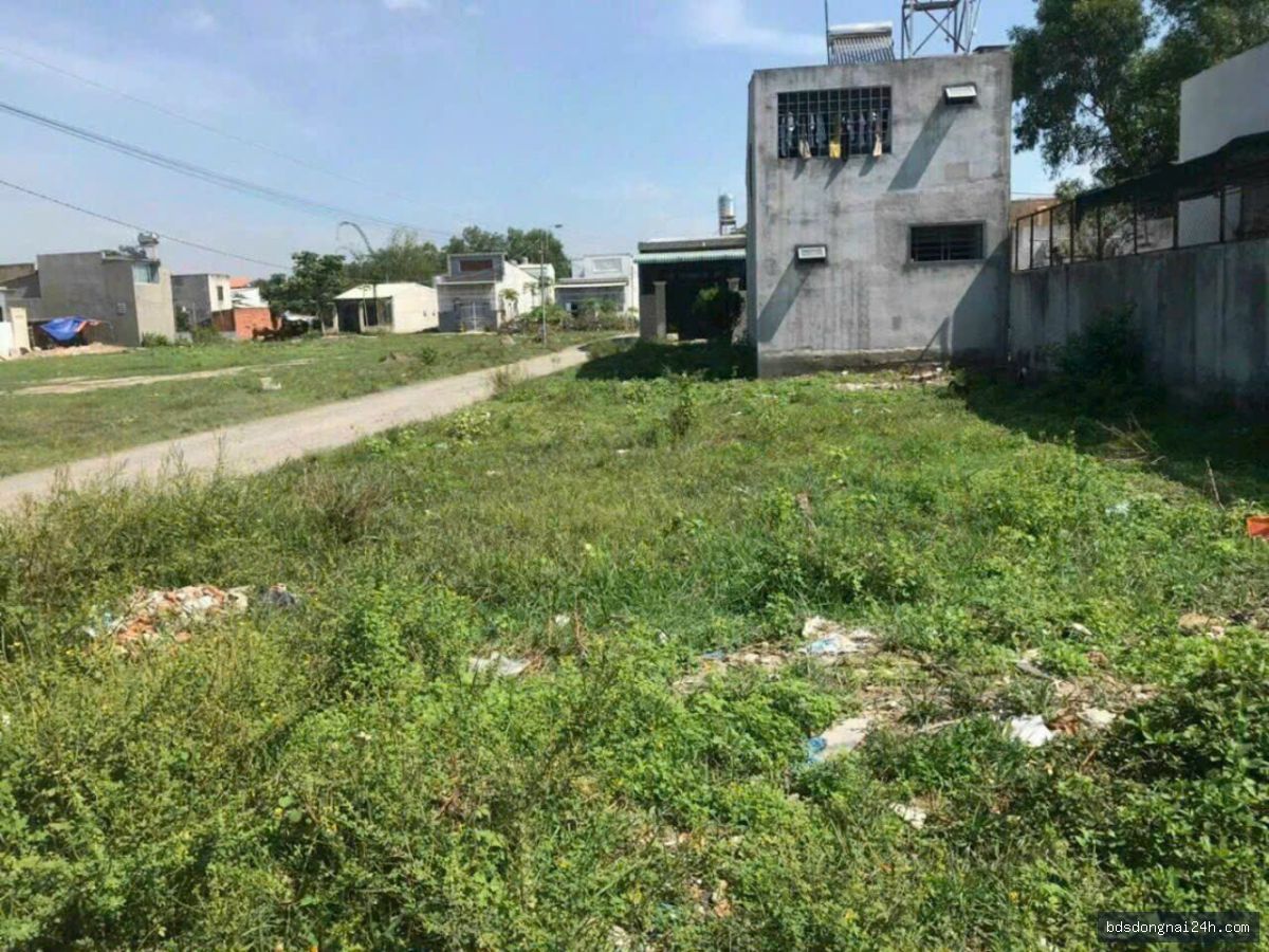 Bán đất nền, mặt tiền tại Long Thành (98m²) - Hình ảnh 3
