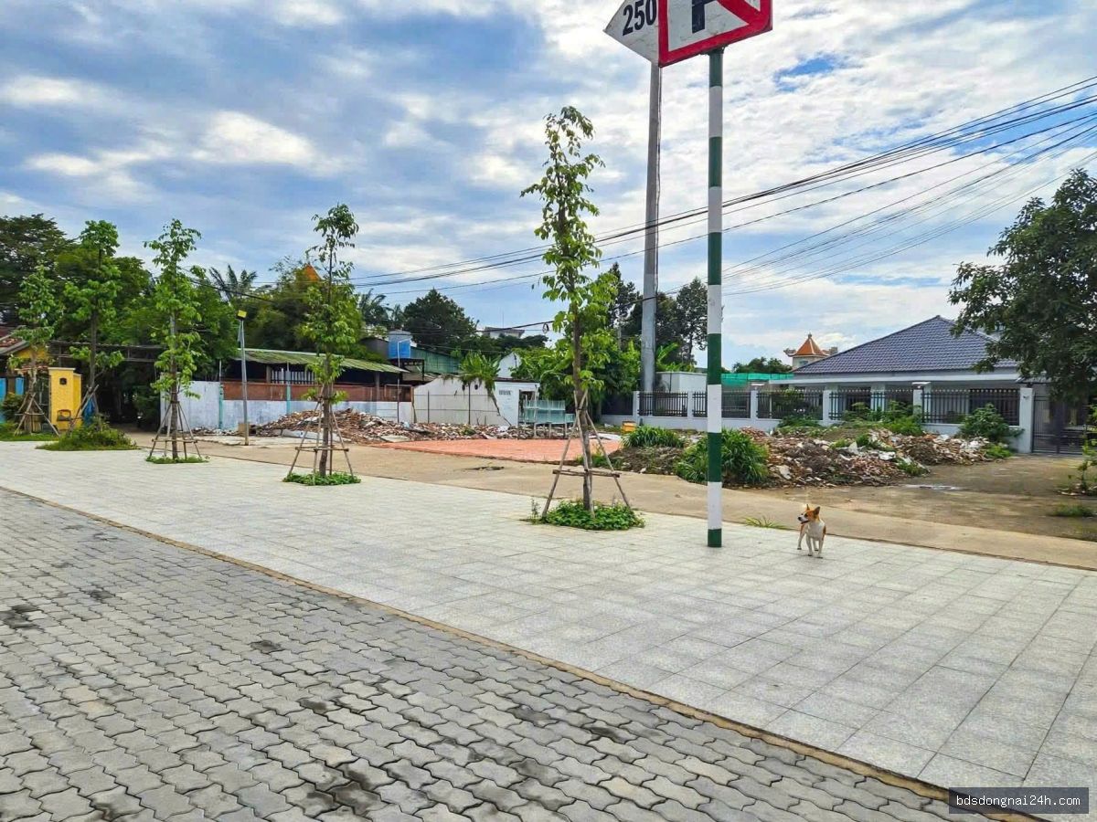 Cho thuê mặt bằng kinh doanh tại Thống Nhất, Biên Hòa (750m²) - Hình ảnh 2
