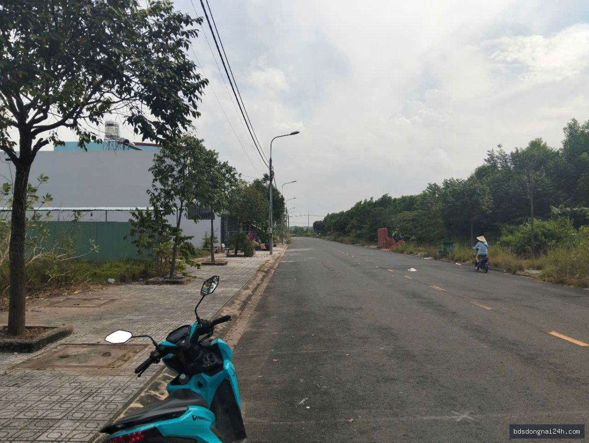 Bán đất nền tại Nhơn Trạch (80m²) - Hình ảnh 2