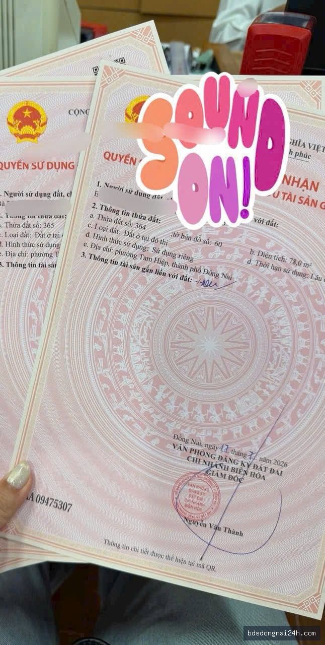 Bán cặp đất nền tại Tam Hiệp, Biên Hòa (80m²) - Hình ảnh 2