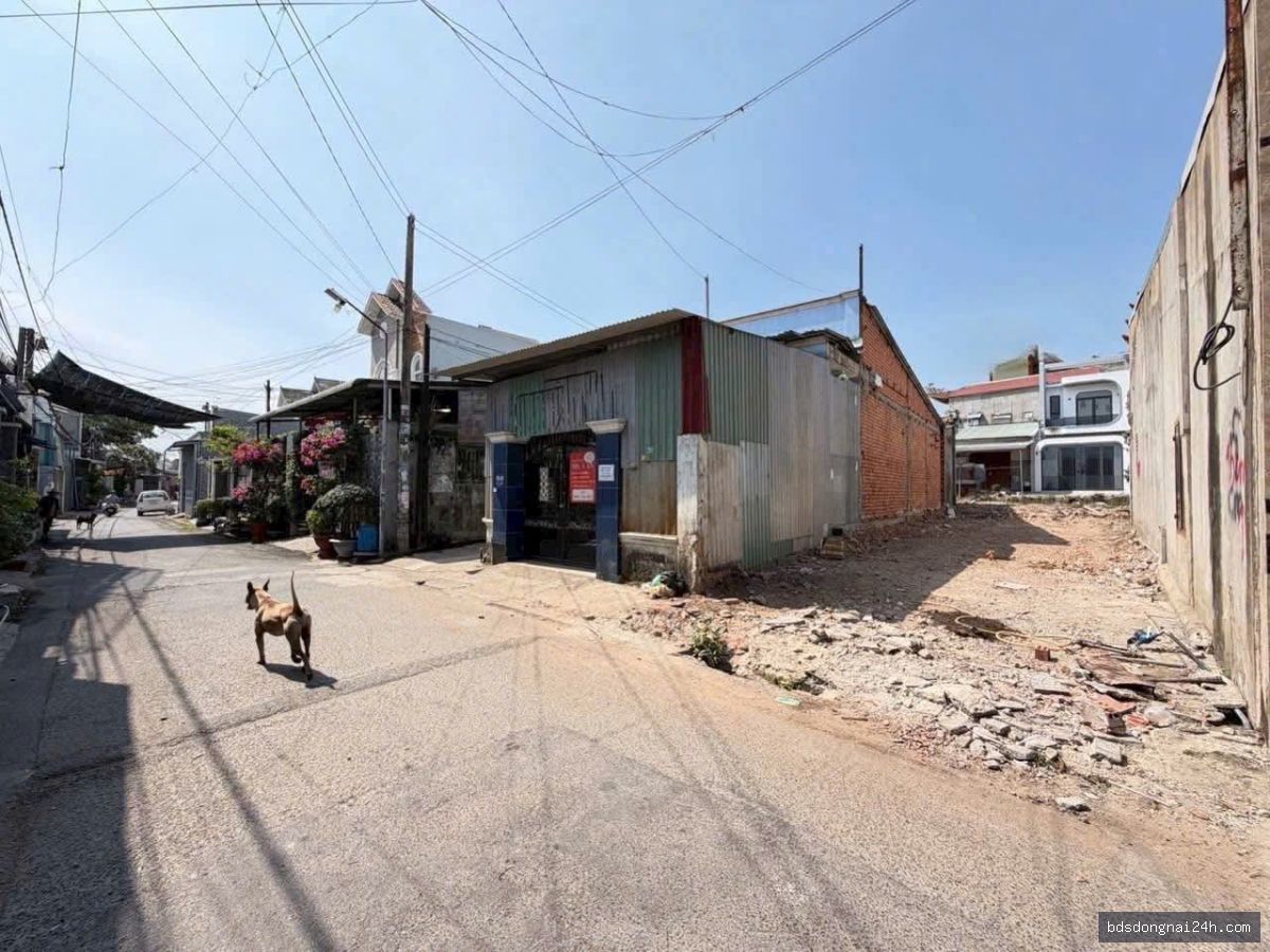 Bán đất nền mặt tiền tại Tân Phong, Biên Hòa (88.2m²) - Hình ảnh 4