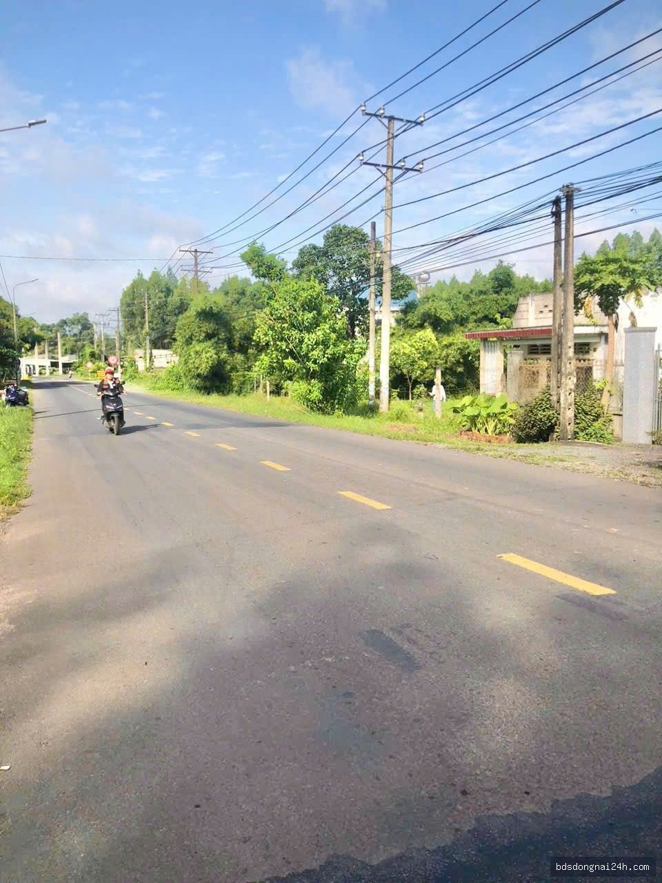 Hình ảnh bất động sản