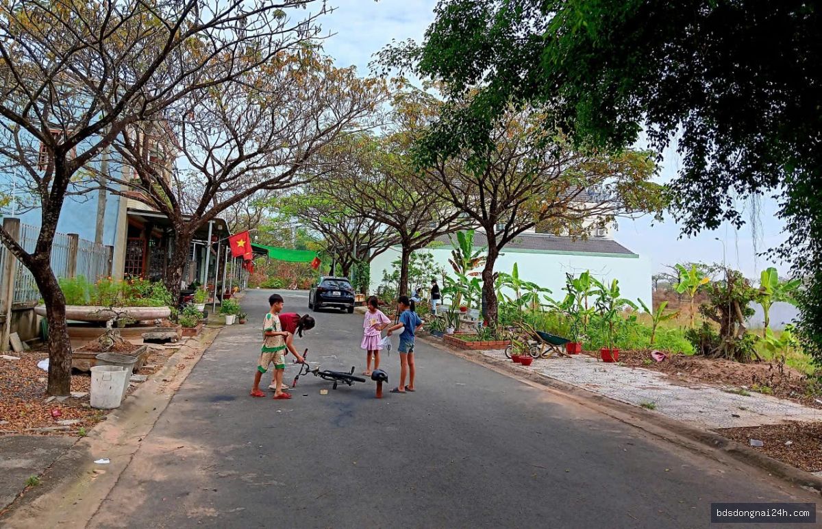 Bán bất động sản - Hình ảnh 1
