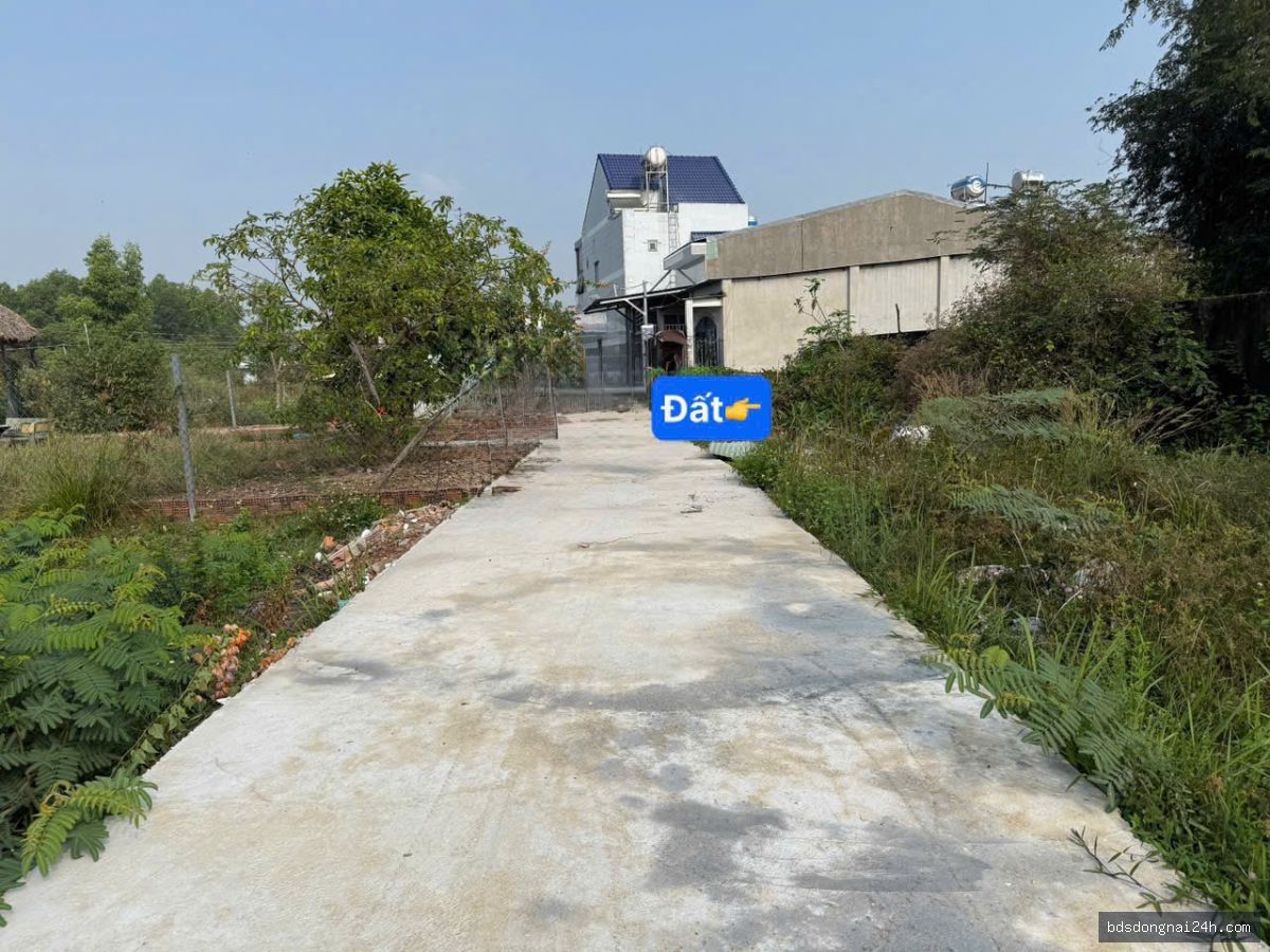 Bán nhà phố - Hình ảnh 11