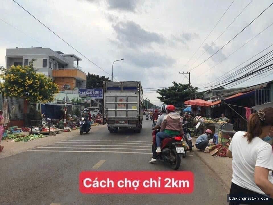 Bán bất động sản tại Long Thành (11.000m2) - Hình ảnh 3