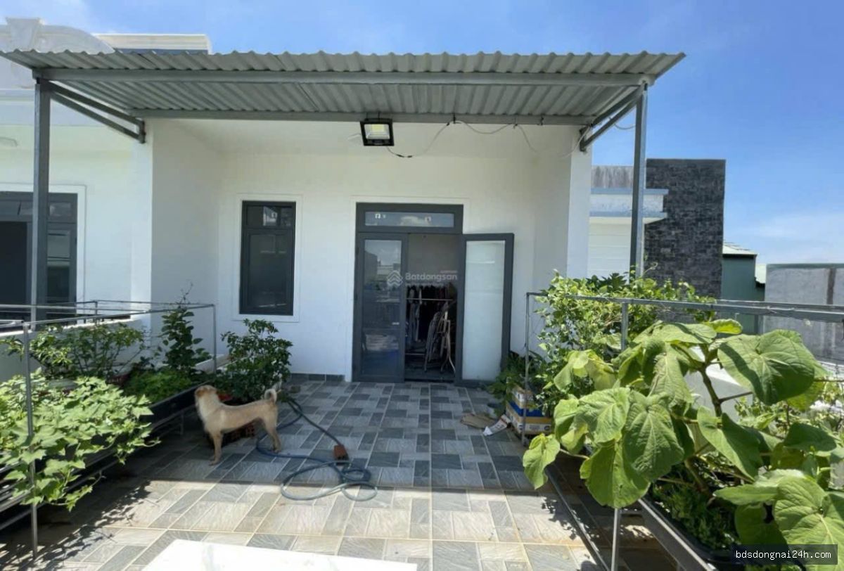 Bán nhà phố sân ô tô tại Tân Triều (97.5m²) - Hình ảnh 2