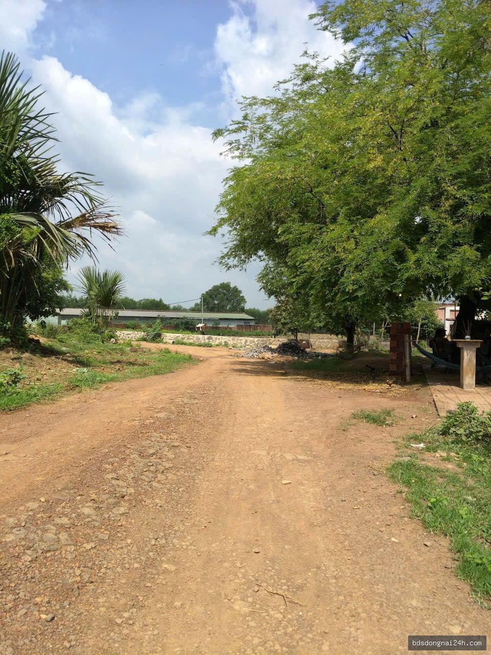 Bán đất nền - Hình ảnh 3