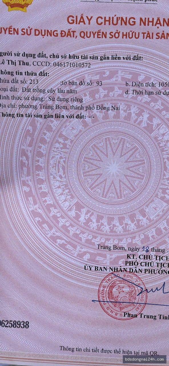 Nổi bật