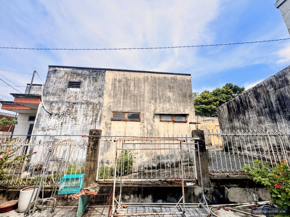 Bán nhà cấp 4 tại Hố Nai, Biên Hòa (319m²) - Hình ảnh 3