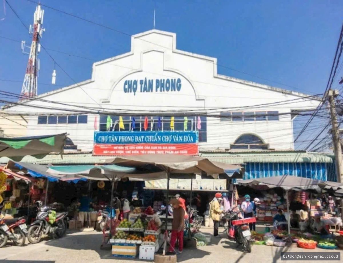 Bán nhà 1 trệt 1 lầu sân ô tô tại Tân Phong, Biên Hòa