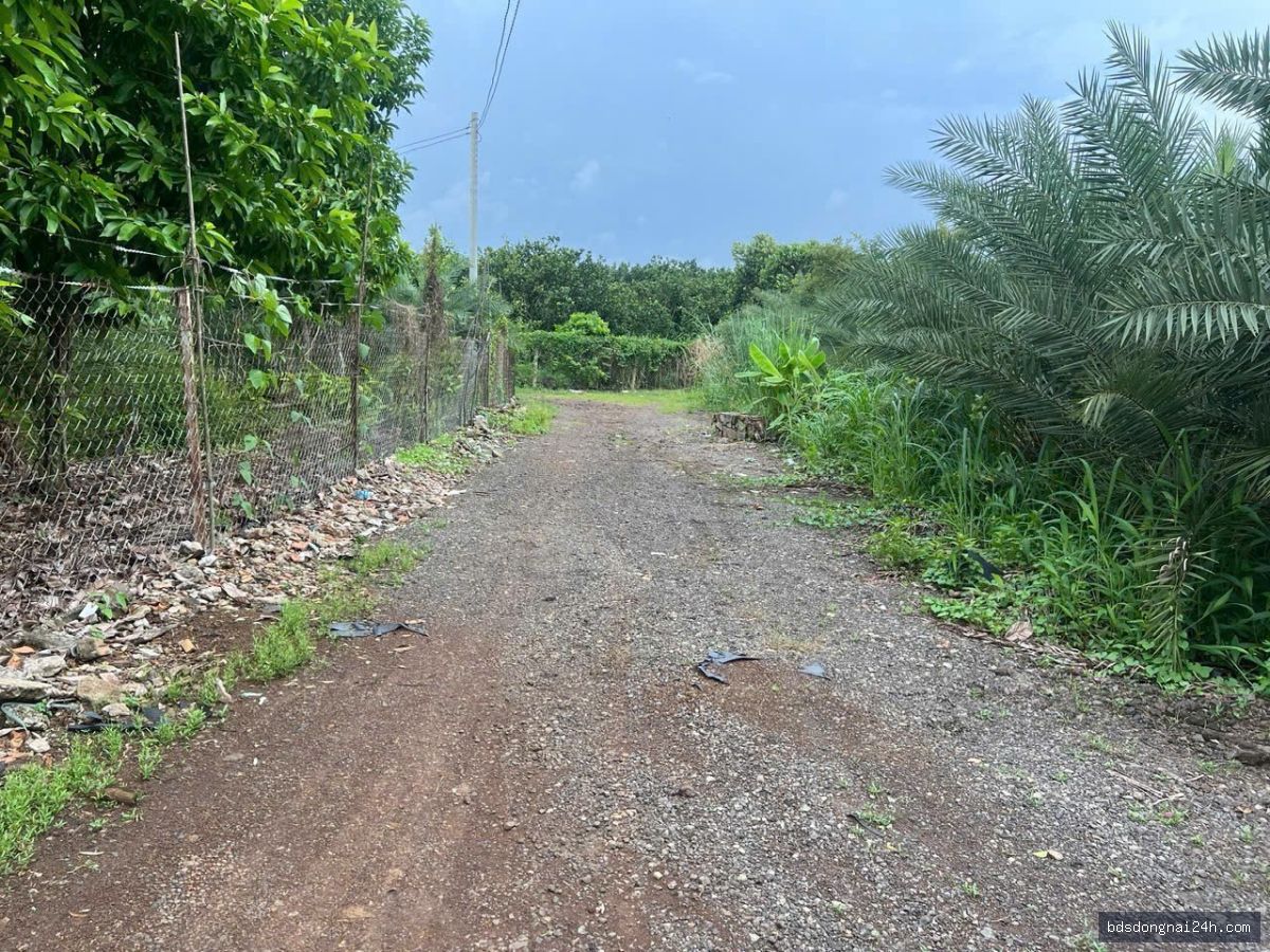 Bán bất động sản tại Long Thành (11.000m2) - Hình ảnh 12
