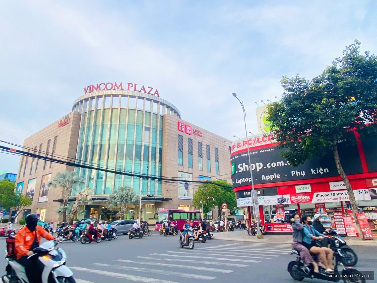 Cho thuê bất động sản, full nội thất tại Quyết Thắng, Biên Hòa - Hình ảnh 5