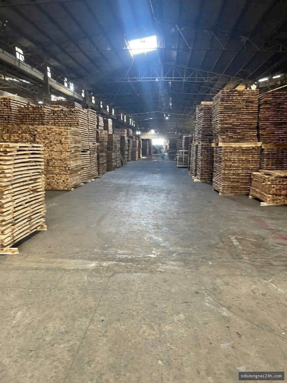 Cho thuê kho xưởng tại Hố Nai, Biên Hòa (5300m2) - Hình ảnh 5