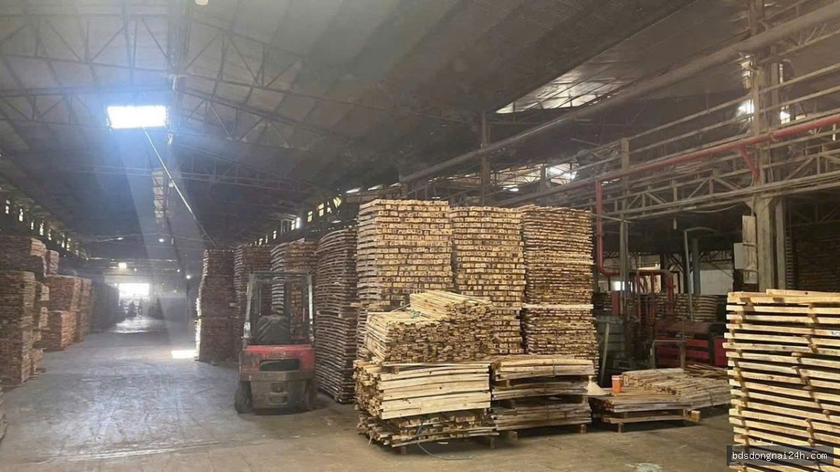 Cho thuê kho xưởng tại Hố Nai, Biên Hòa (5300m2) - Hình ảnh 4
