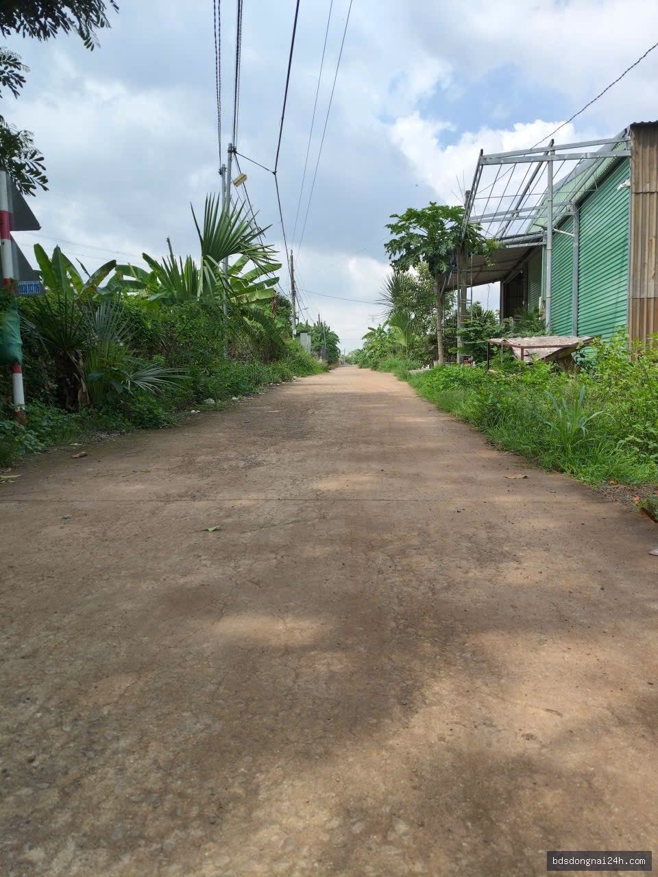 Bán đất nền - Hình ảnh 4
