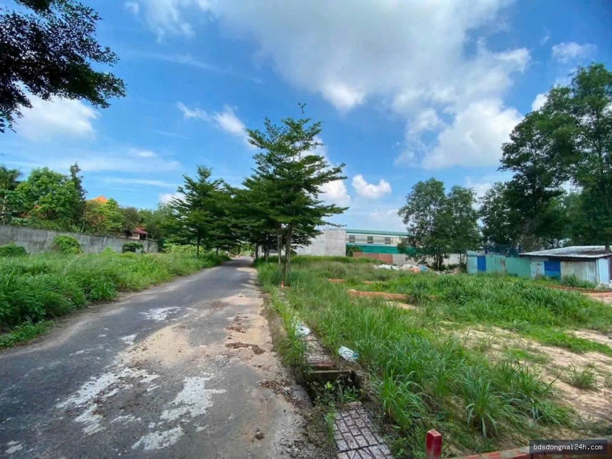 Bán đất nền (96.3m²) - Hình ảnh 2