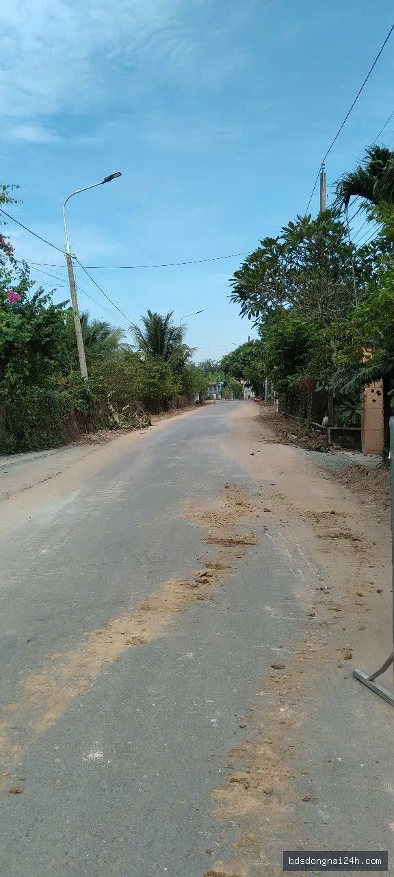 Bán lô đất biệt thự mặt tiền tại Tân Triều (434,5m²) - Hình ảnh 9