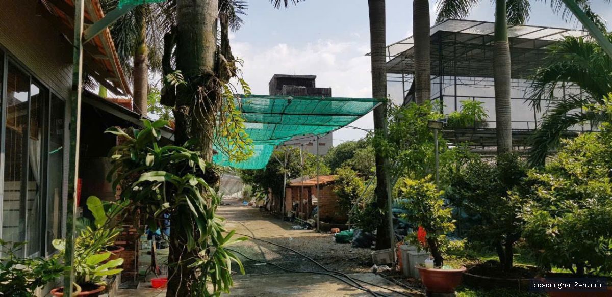 Bán biệt thự tại Long Thành - Hình ảnh 4