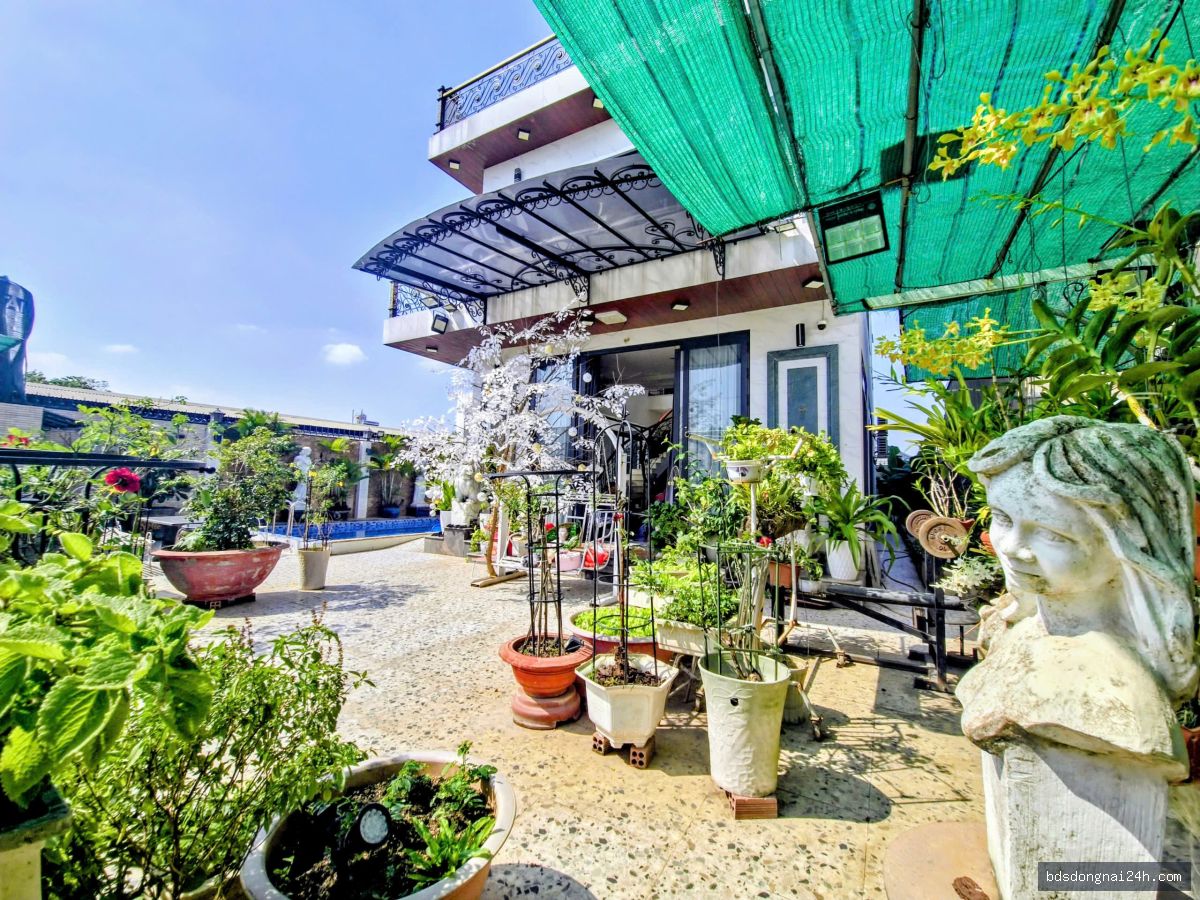 Bán biệt thự tại Thống Nhất, Biên Hòa (500M²) - Hình ảnh 4