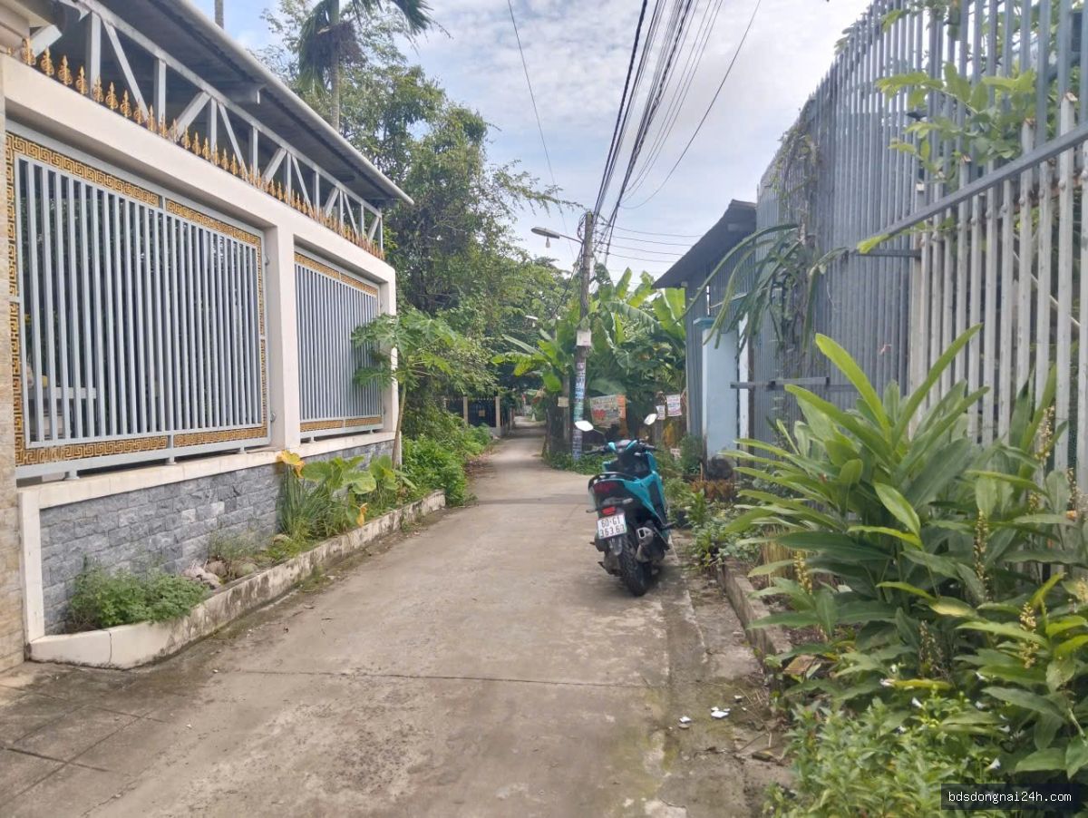 Bán đất nền tại Nhơn Trạch (97.5m²)