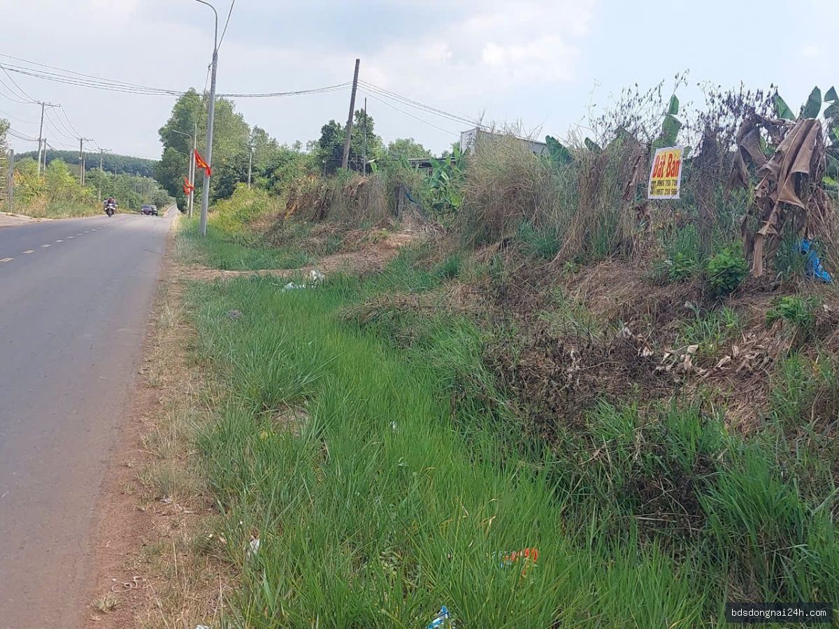 Bán đất nền mặt tiền, gần chợ (8000m2) - Hình ảnh 2