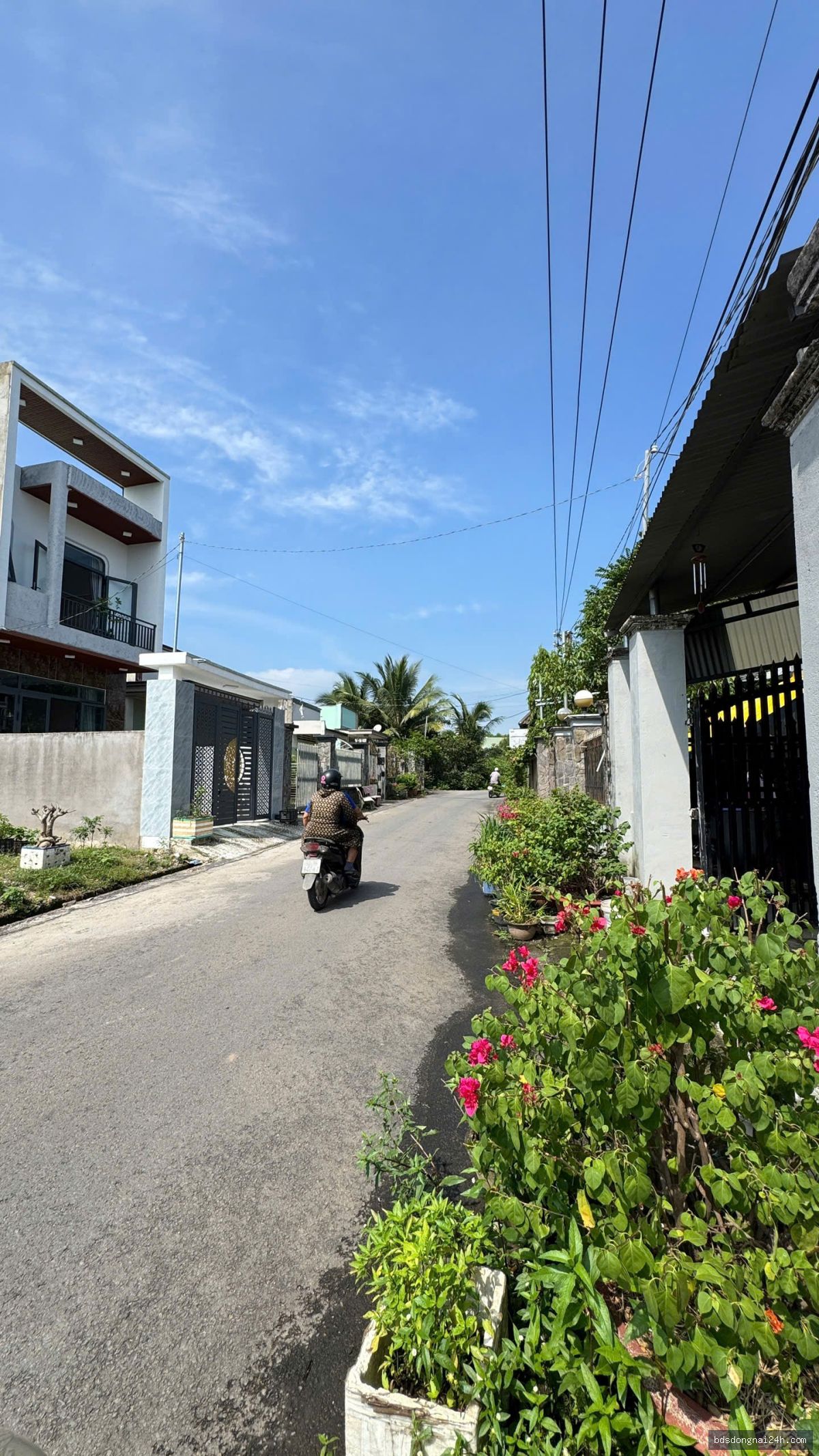 Bán nhà cấp 4, mặt tiền tại Trảng Bom (445m2) - Hình ảnh 2