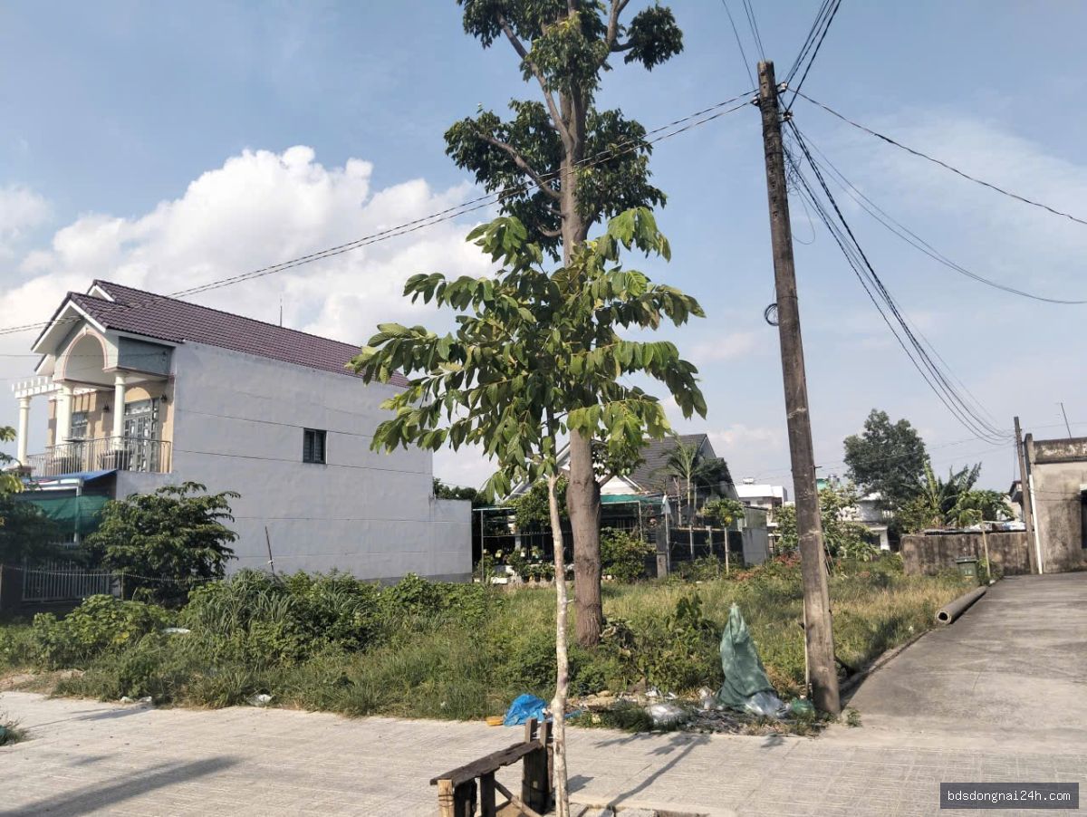 Bán đất nền tại Nhơn Trạch (210m²)