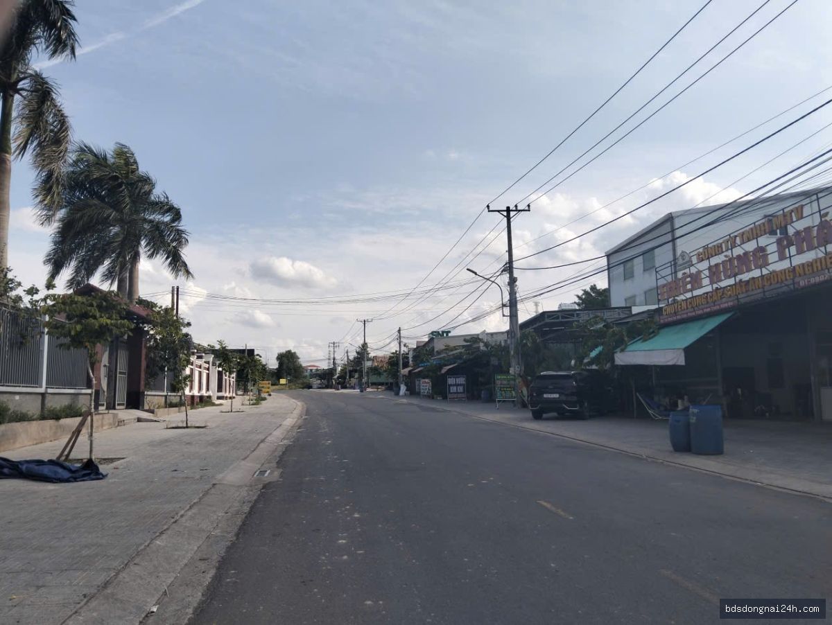Bán đất nền tại Nhơn Trạch (210m²) - Hình ảnh 3