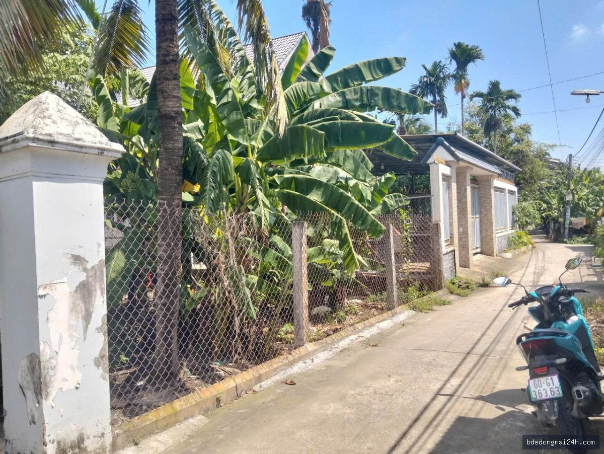 Bán đất thổ cư 100% tại Nhơn Trạch (150m²)