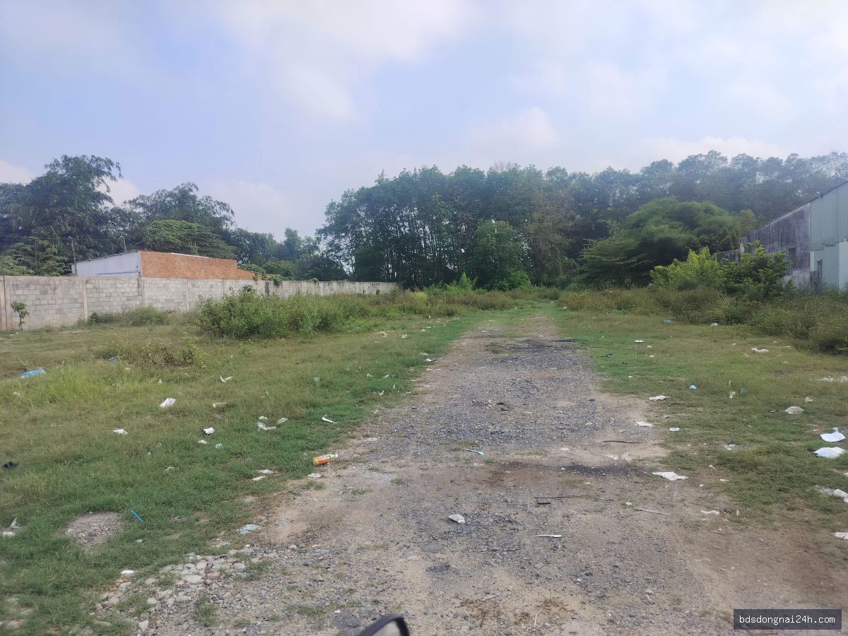Bán bất động sản (195m²) - Hình ảnh 1