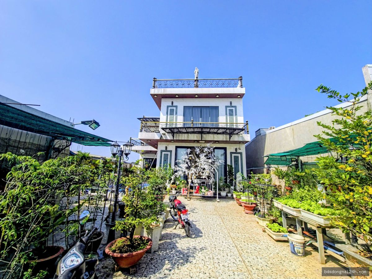 Nổi bật