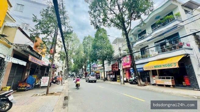 Bán cặp đất nền tại Tân Phong, Biên Hòa (85.5m²) - Hình ảnh 6