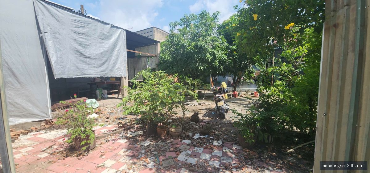 Cho thuê bất động sản (350M²) - Hình ảnh 3