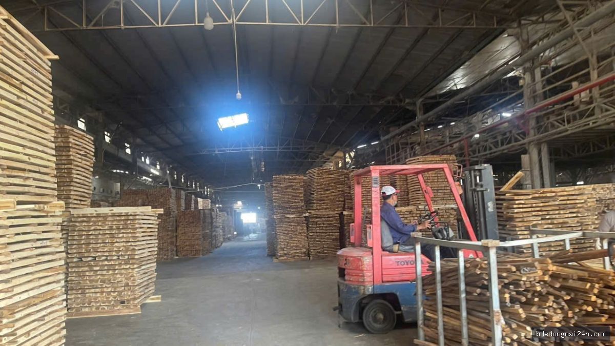 Cho thuê kho xưởng tại Hố Nai, Biên Hòa (5300m2) - Hình ảnh 3