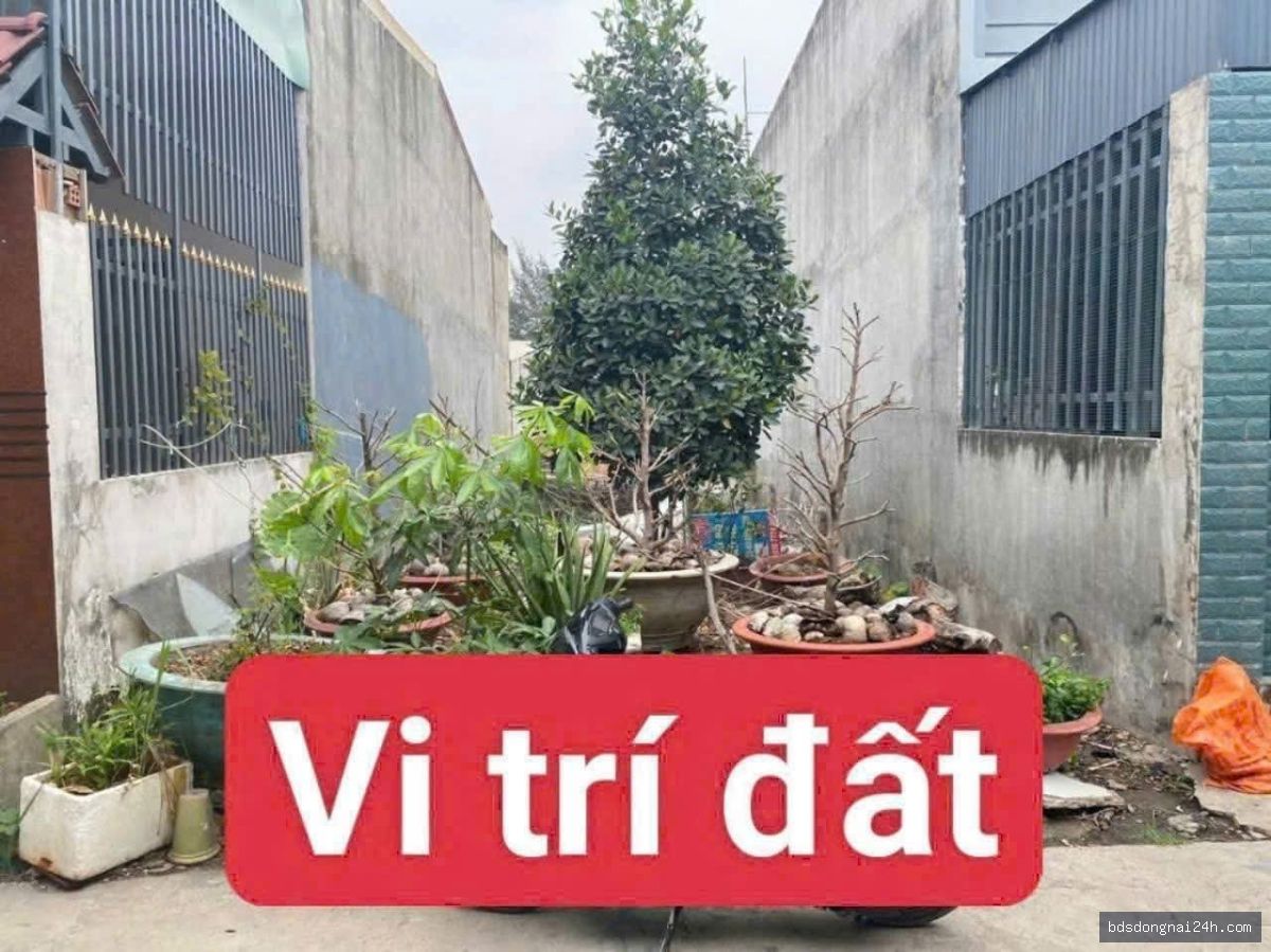 Bán đất nền gần chợ tại Trảng Dài, Biên Hòa (90m²) - Hình ảnh 4