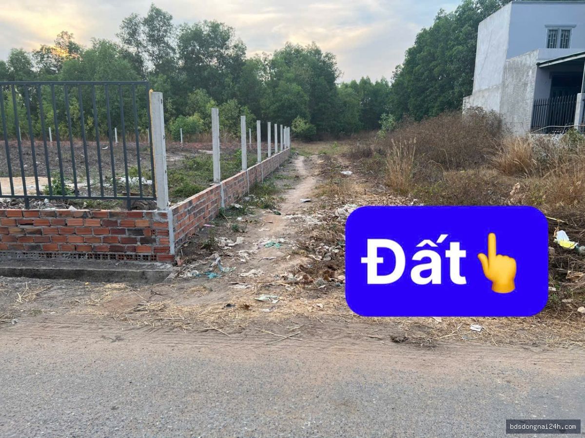 Bán đất nền (115m²)