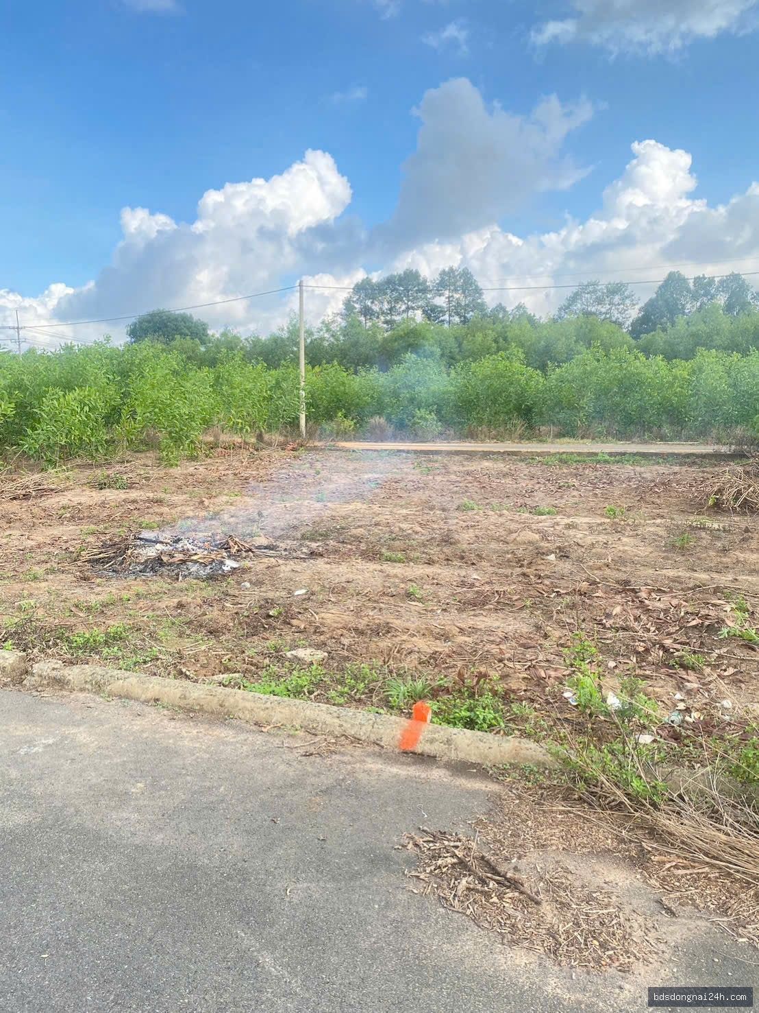 Bán đất nền mặt tiền (200m²) - Hình ảnh 4