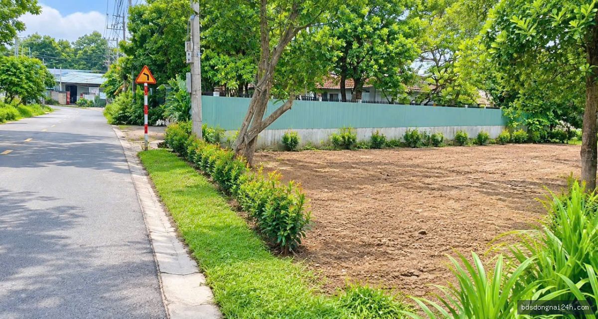 Bán kho xưởng mặt tiền (1417.5m²) - Hình ảnh 4