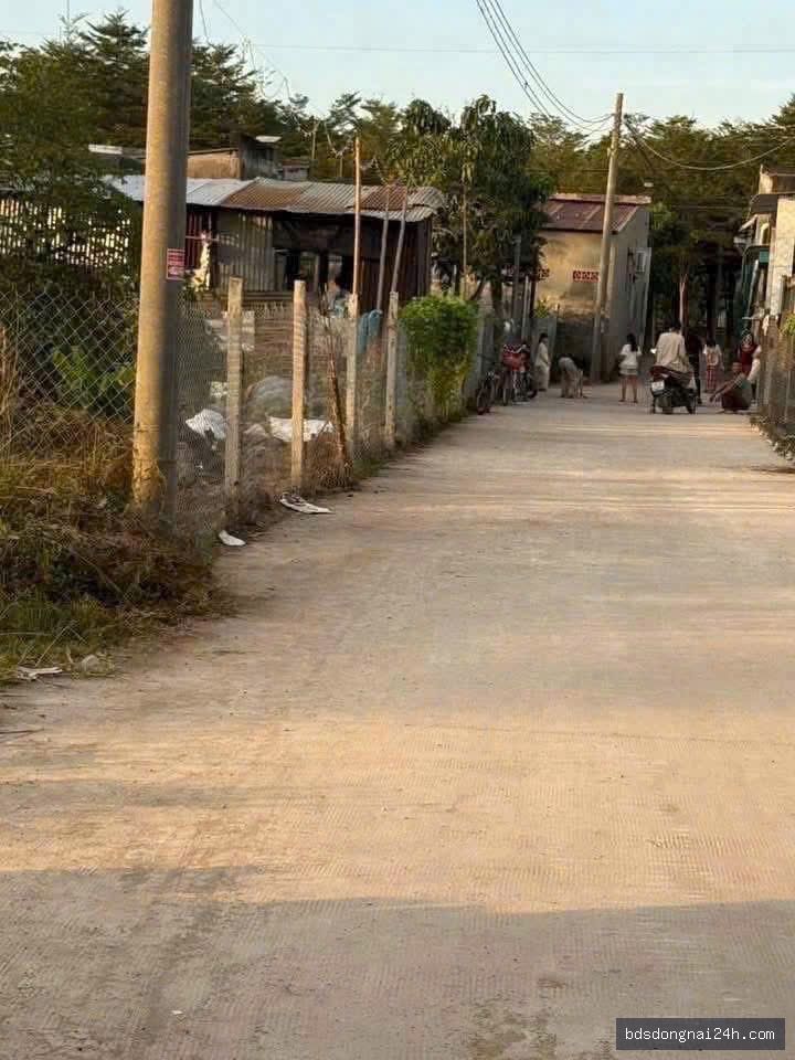 Bán đất thổ cư 100% gần chợ (300m²) - Hình ảnh 2
