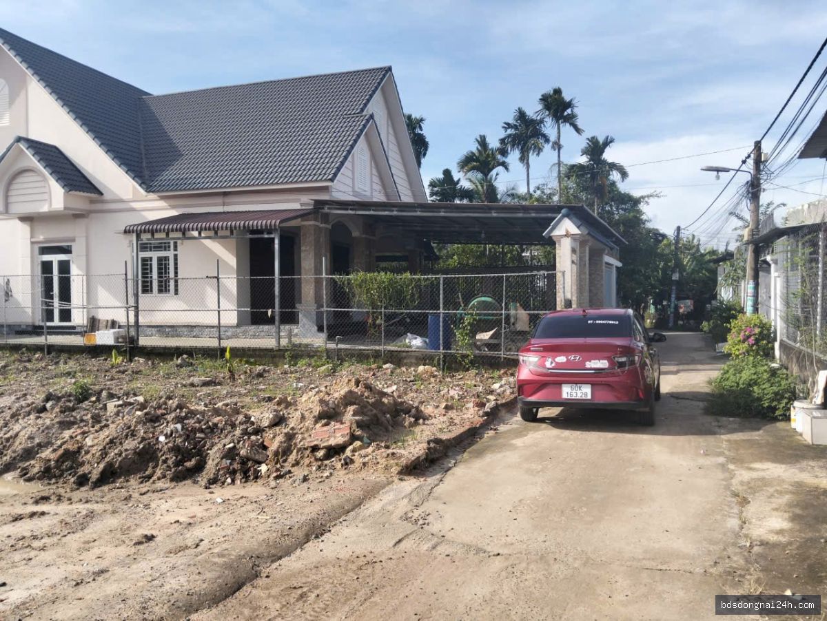 Bán đất nền, gần chợ tại Nhơn Trạch (300m²) - Hình ảnh 3