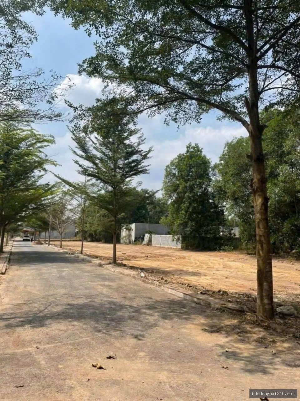 Bán đất nền (96.3m²) - Hình ảnh 4
