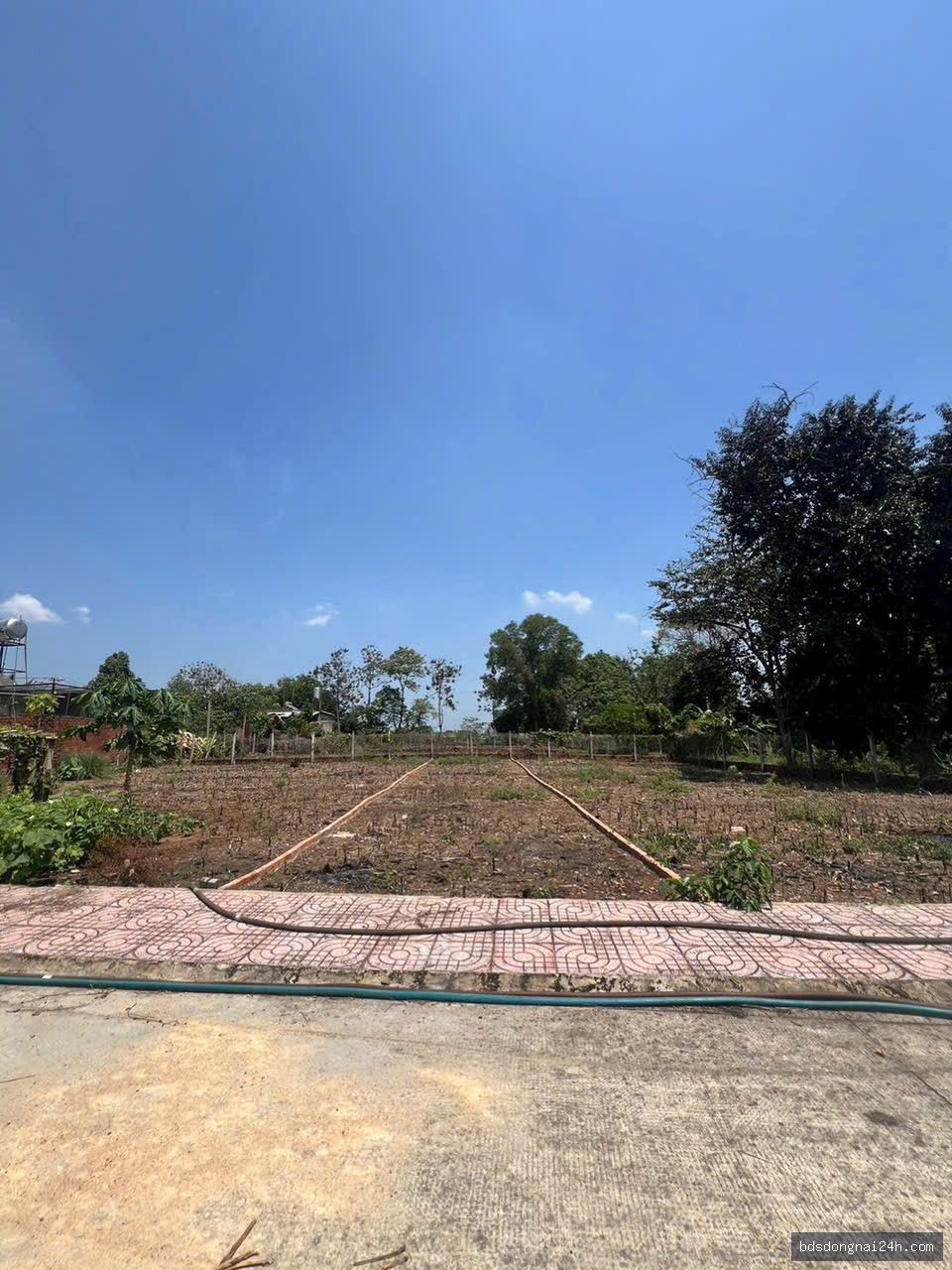 Nổi bật