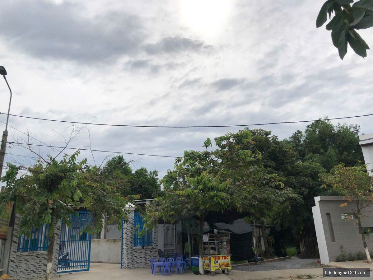 Bán đất nền tại Tân Triều - Hình ảnh 5
