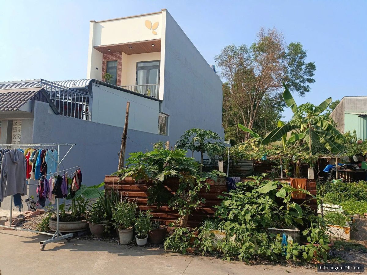 Bán đất nền tại Long Thành (175m²) - Hình ảnh 5