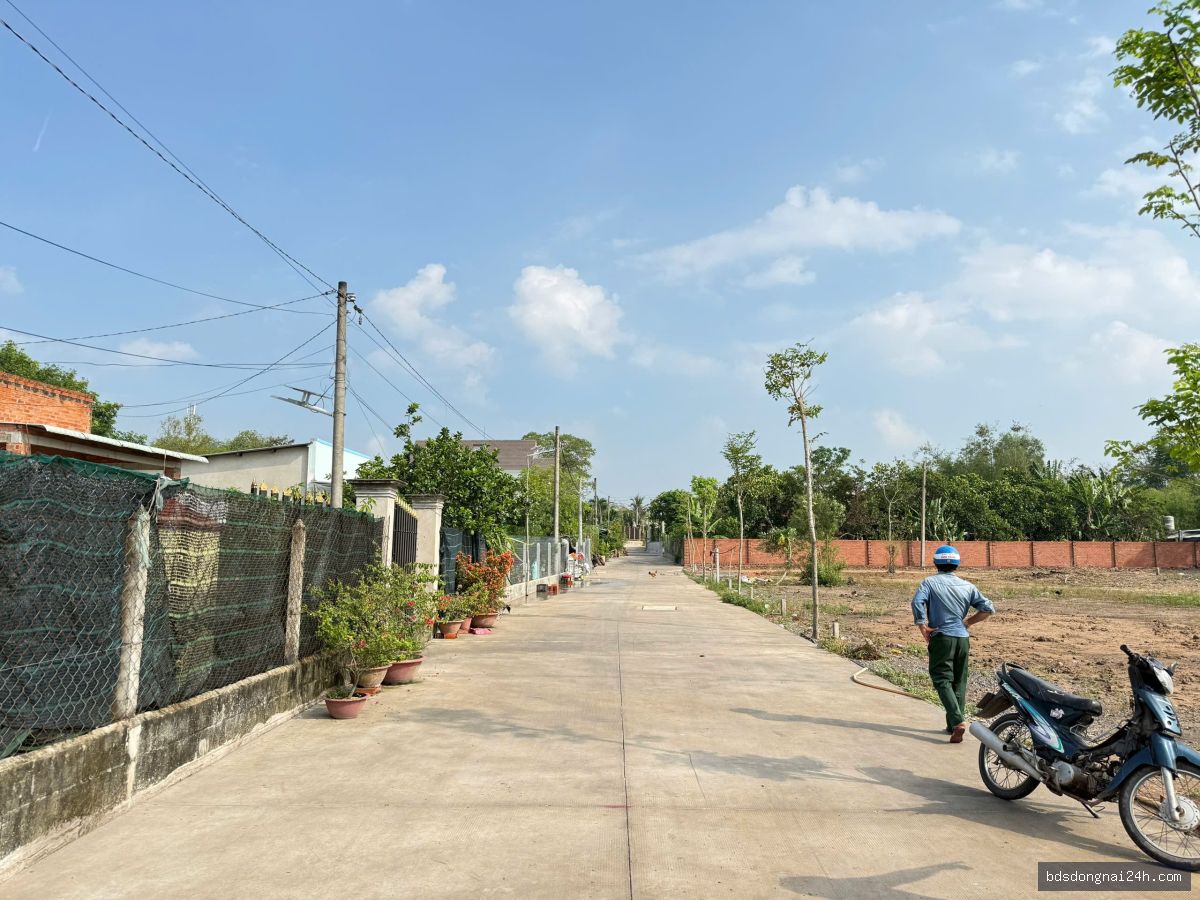 Bán nhà phố (115m²) - Hình ảnh 2