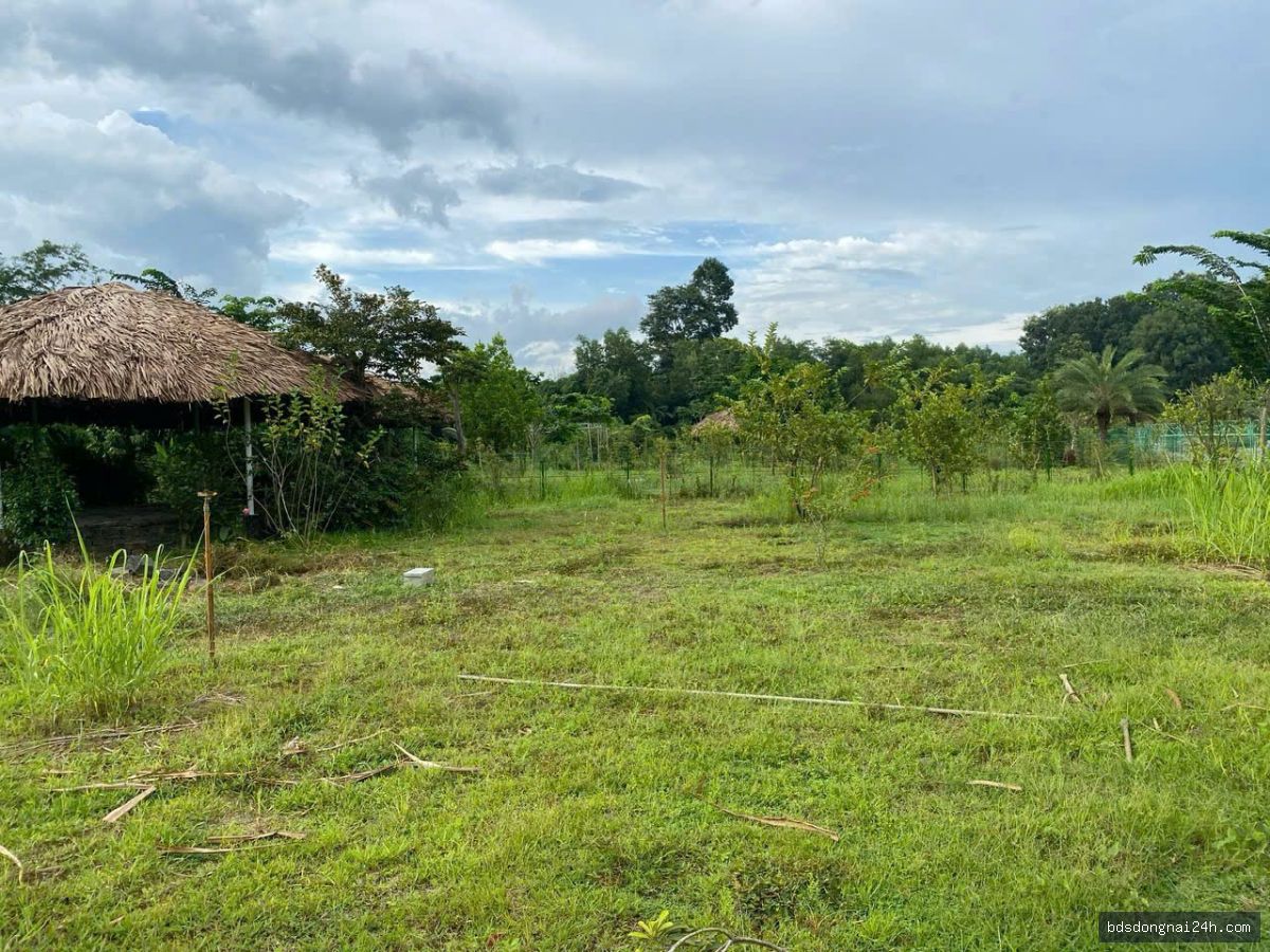 Bán biệt thự tại Vĩnh Cửu (1216m²) - Hình ảnh 9