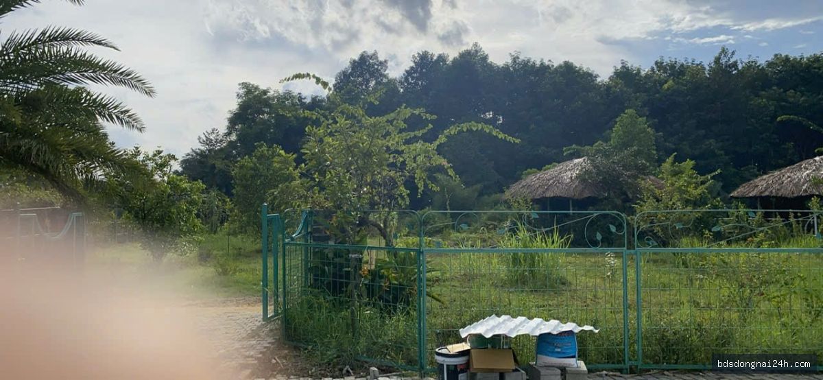 Bán biệt thự tại Vĩnh Cửu (1216m²) - Hình ảnh 10