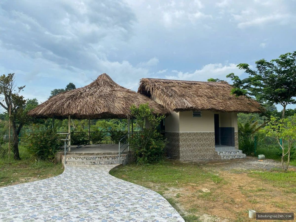 Bán biệt thự tại Vĩnh Cửu (1216m²) - Hình ảnh 4